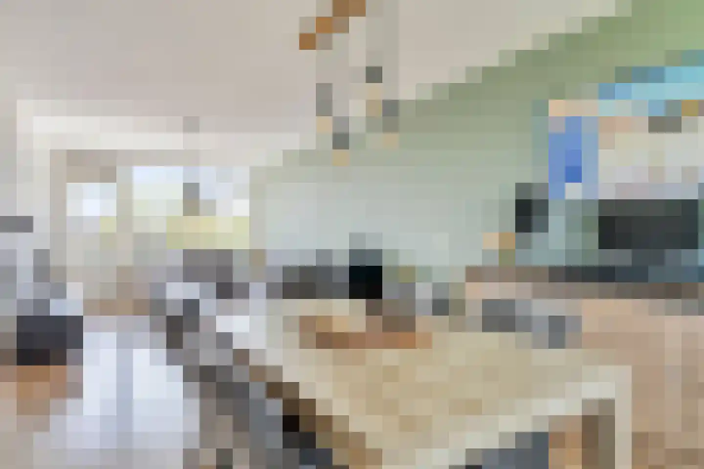 Maassingel 30 's-Hertogenbosch thumbnail 9