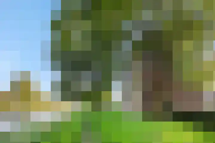 Maassingel 304 's-Hertogenbosch thumbnail 25