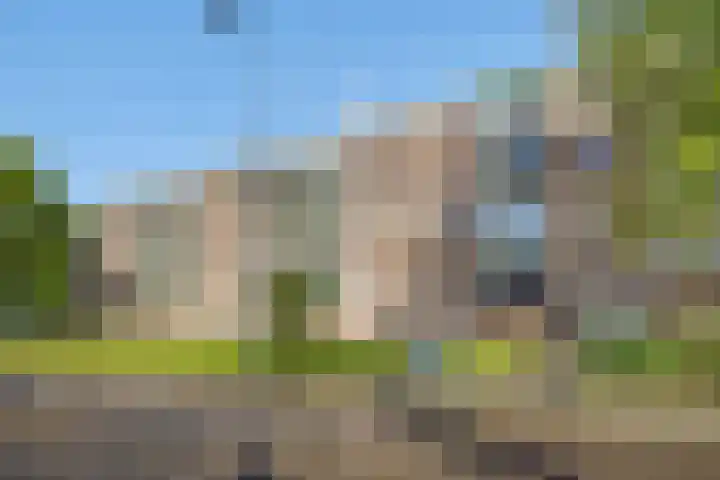 Maassingel 304 's-Hertogenbosch thumbnail 26