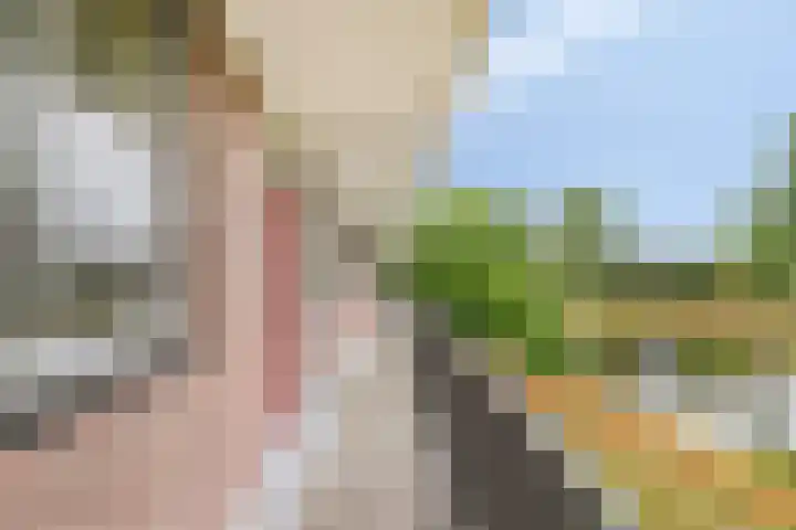 Maassingel 310 's-Hertogenbosch thumbnail 10