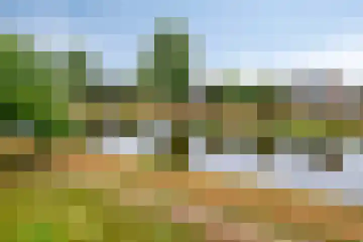 Maassingel 310 's-Hertogenbosch thumbnail 27