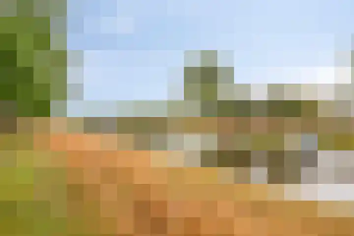 Maassingel 310 's-Hertogenbosch thumbnail 31