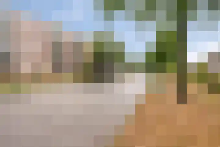Maassingel 310 's-Hertogenbosch thumbnail 33