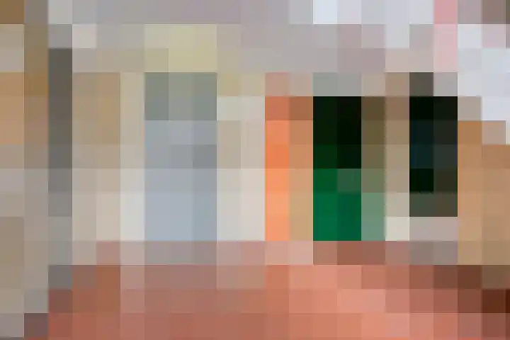 Maassingel 310 's-Hertogenbosch thumbnail 9
