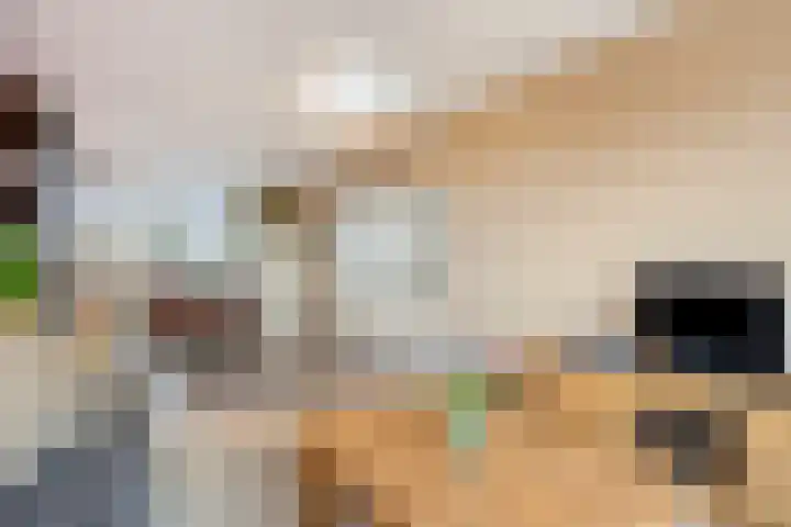 Maassingel 372 's-Hertogenbosch thumbnail 6