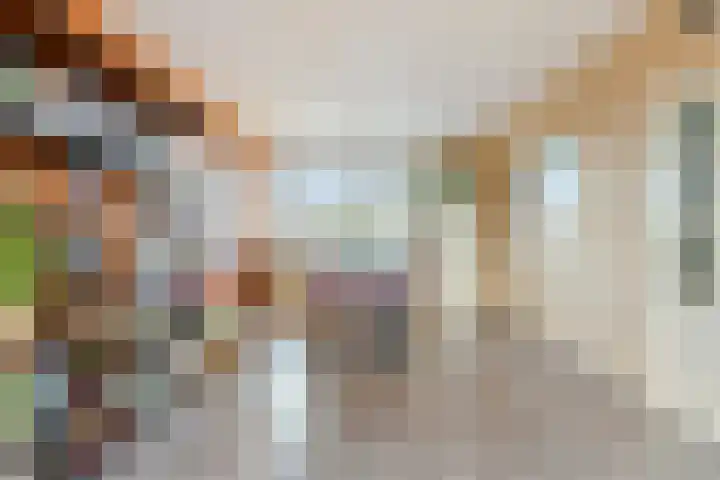 Maassingel 372 's-Hertogenbosch thumbnail 7