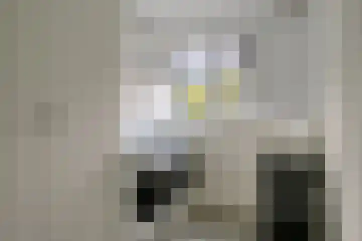 Maassingel 384 's-Hertogenbosch thumbnail 18