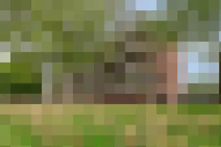 Maassingel 384 's-Hertogenbosch thumbnail 29