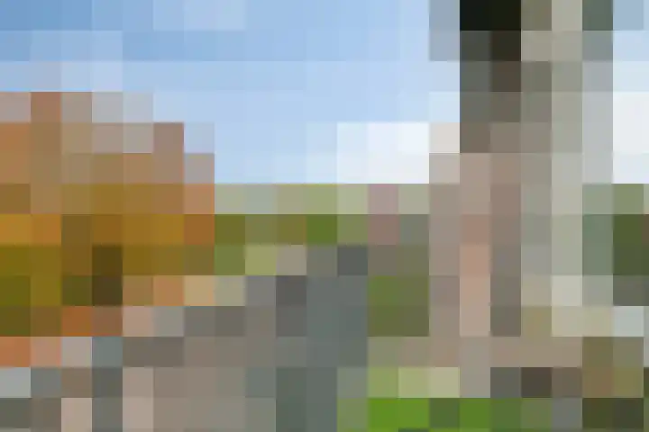 Maassingel 384 's-Hertogenbosch thumbnail 4