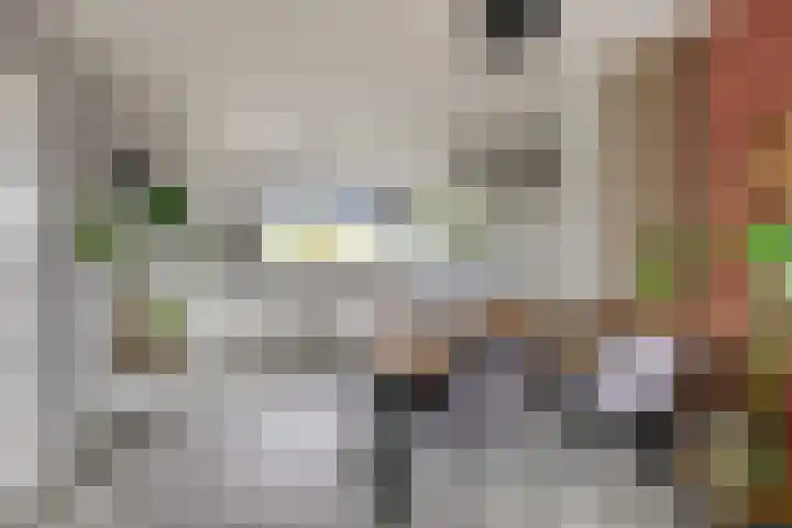 Maassingel 384 's-Hertogenbosch thumbnail 9