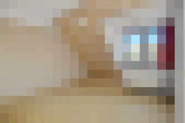 Maassingel 47 Deurne thumbnail 22