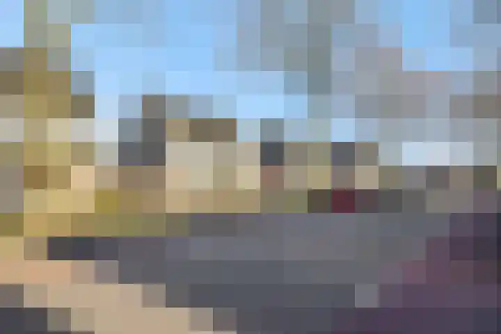 Maassingel 47 Deurne thumbnail 33