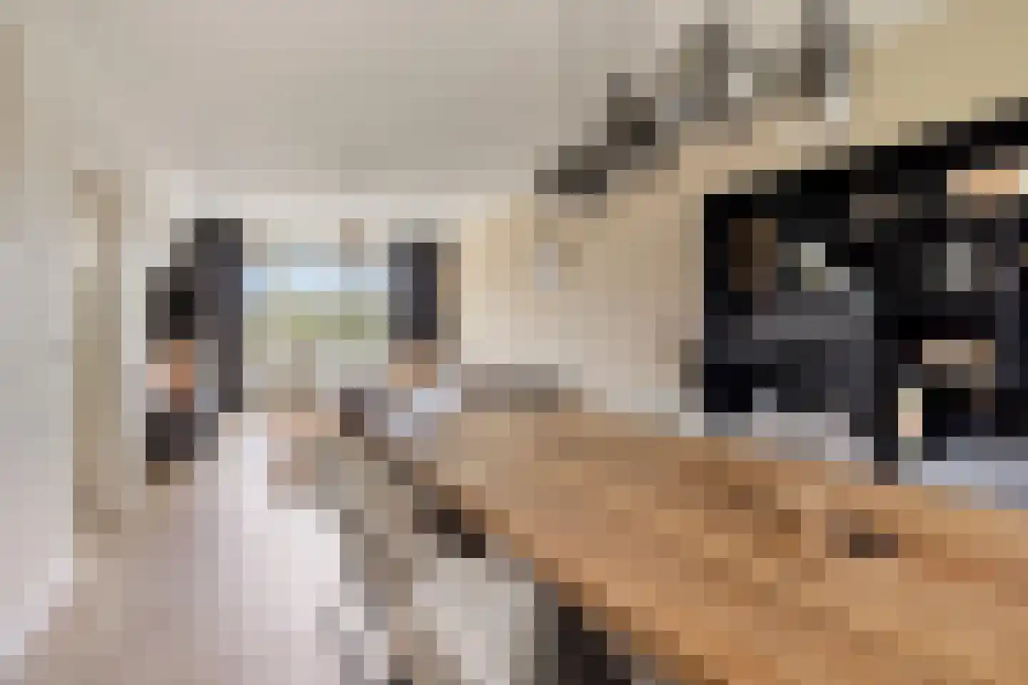 Maassingel 48 's-Hertogenbosch thumbnail 6