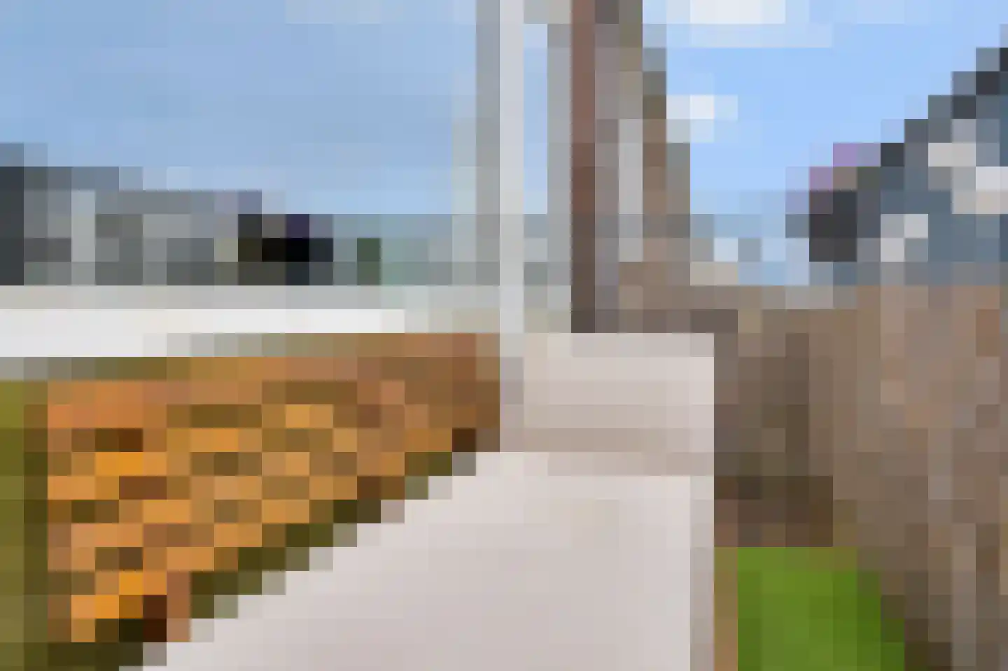 Maassingel 50 's-Hertogenbosch thumbnail 10