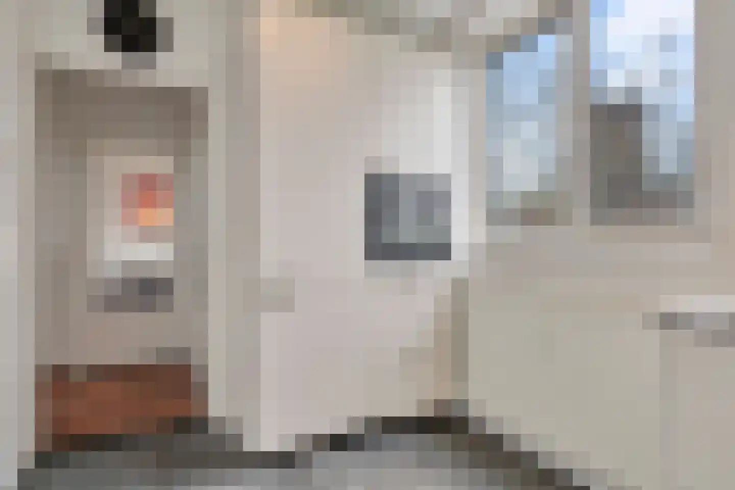 Maassingel 50 's-Hertogenbosch thumbnail 22
