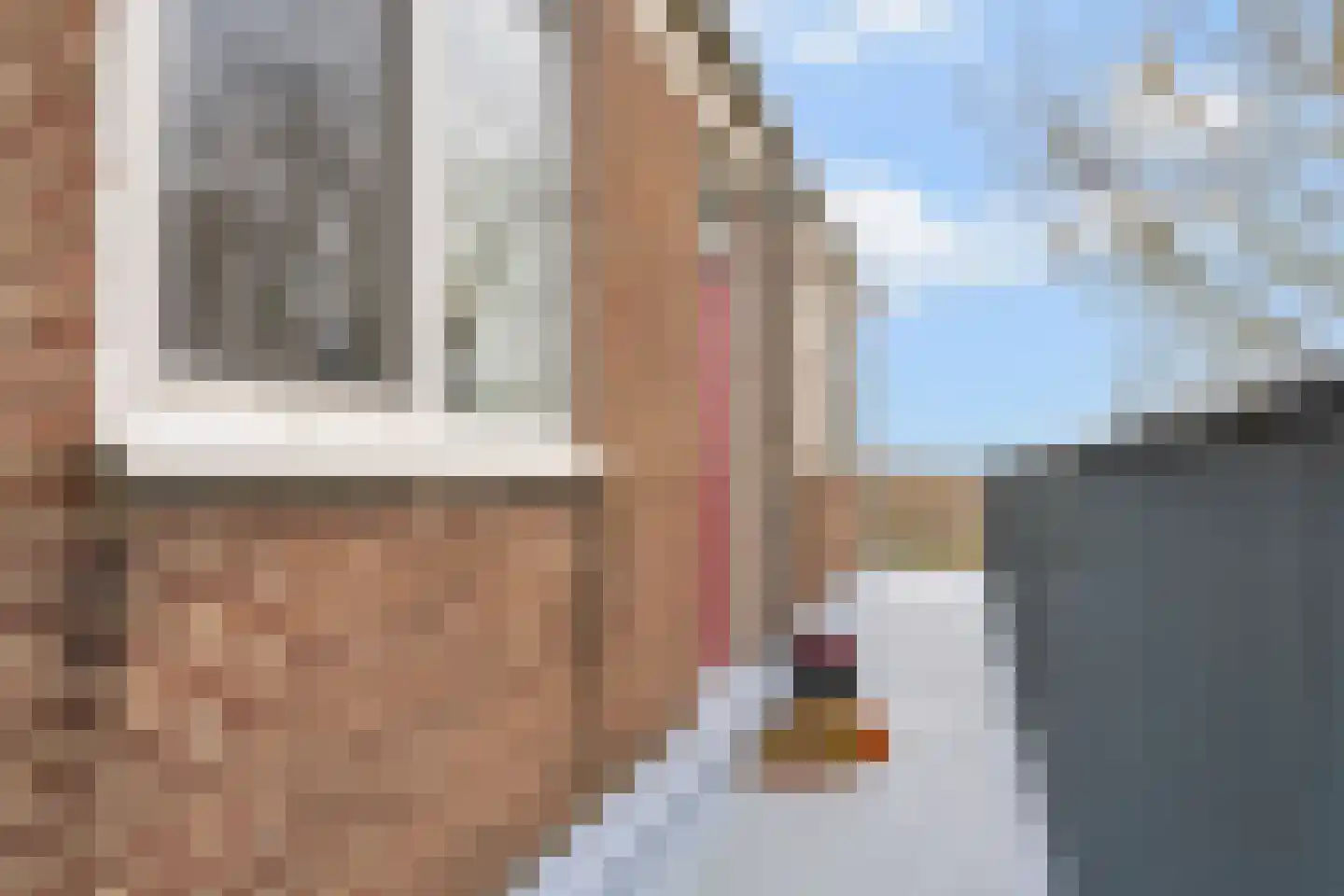 Maassingel 50 's-Hertogenbosch thumbnail 27