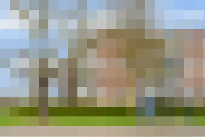 Maassingel 50 's-Hertogenbosch thumbnail 33