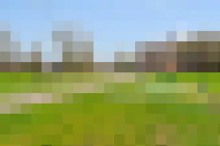 Maassingel 50 's-Hertogenbosch thumbnail 35