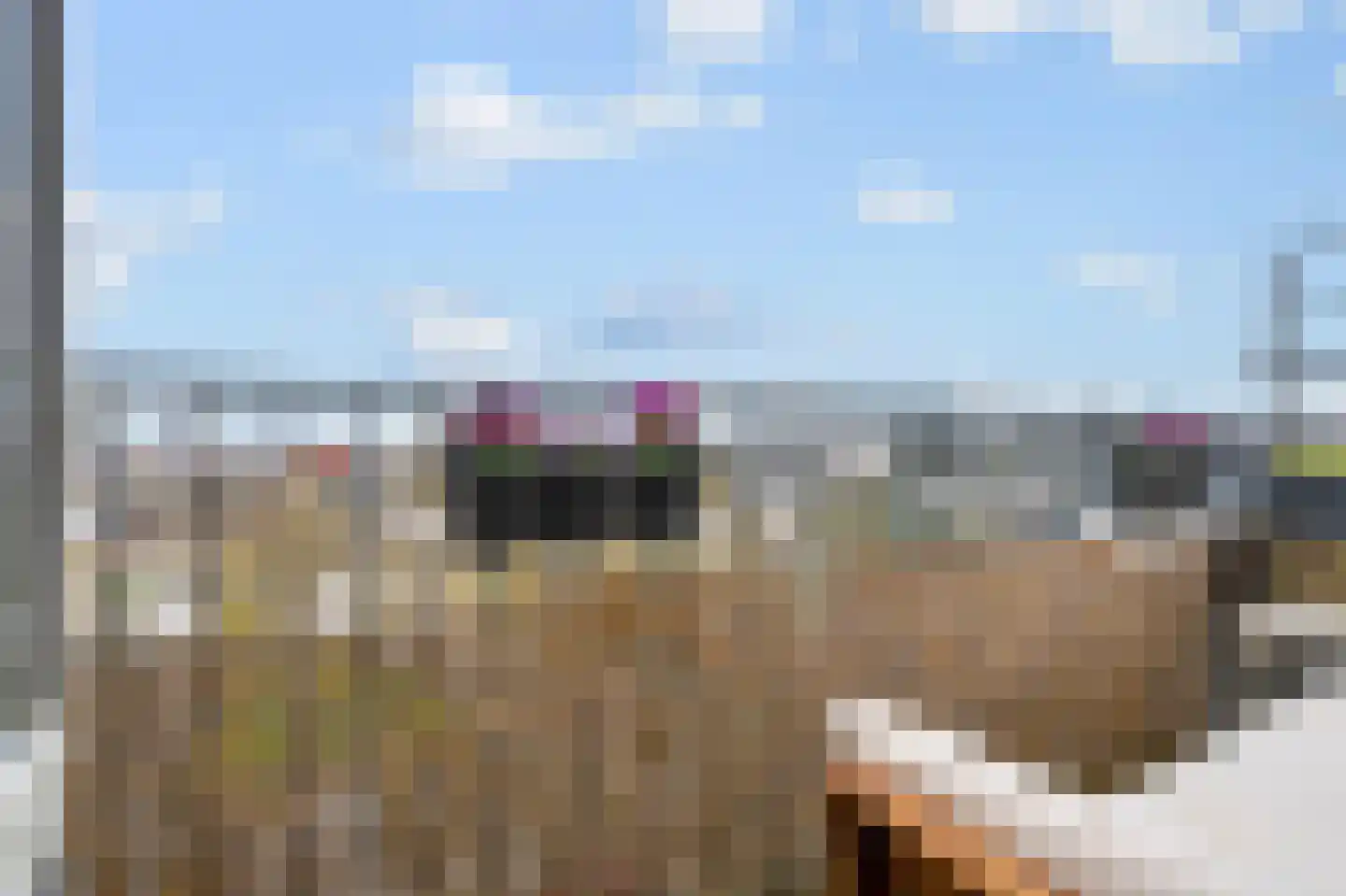 Maassingel 50 's-Hertogenbosch thumbnail 8