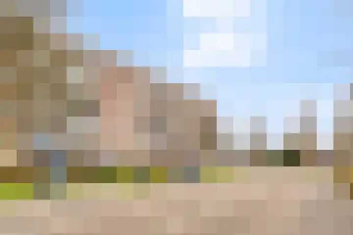 Maassingel 54 's-Hertogenbosch thumbnail 31