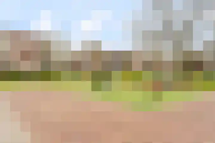 Maassingel 54 's-Hertogenbosch thumbnail 32
