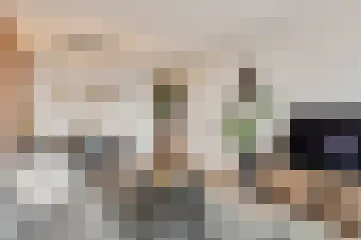 Maassingel 54 's-Hertogenbosch thumbnail 6