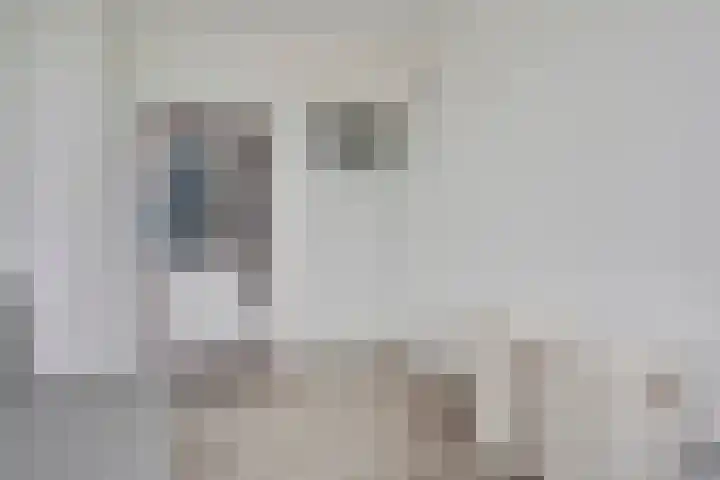 Maassingel 57 's-Hertogenbosch thumbnail 32