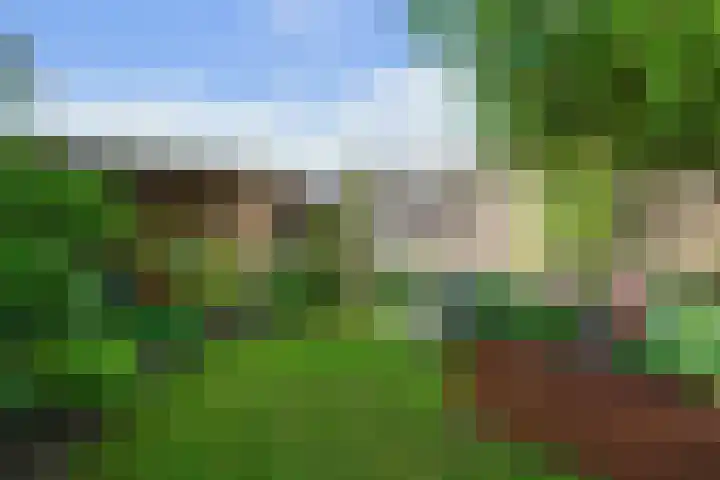 Maassingel 57 's-Hertogenbosch thumbnail 49