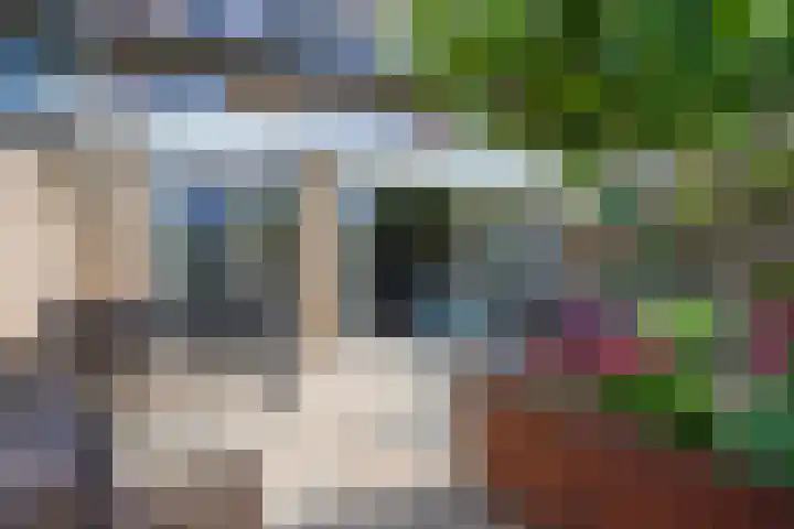 Maassingel 57 's-Hertogenbosch thumbnail 50