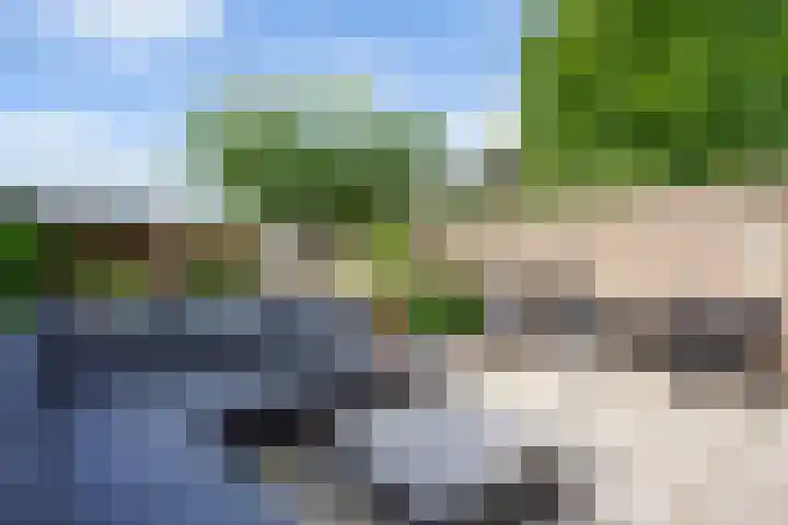 Maassingel 57 's-Hertogenbosch thumbnail 53