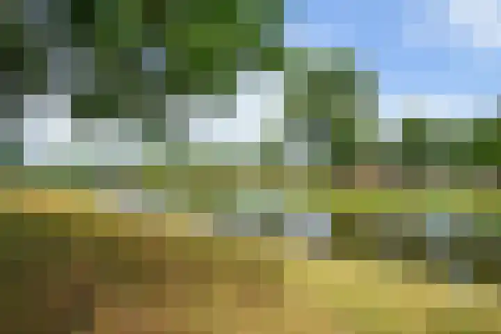Maassingel 57 's-Hertogenbosch thumbnail 55