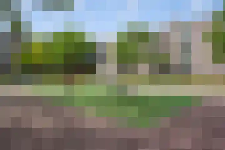 Maassingel 57 's-Hertogenbosch thumbnail 58
