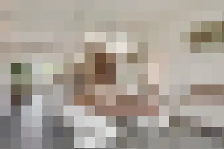 Maassingel 57 's-Hertogenbosch thumbnail 6