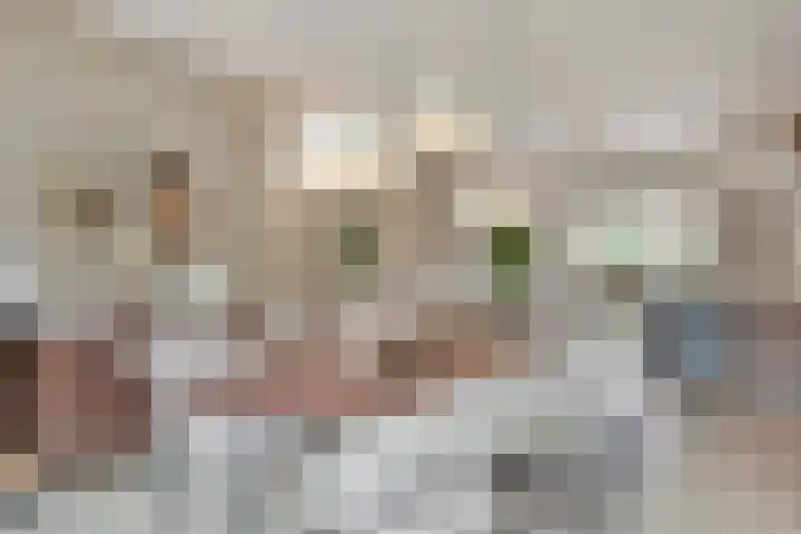 Maassingel 57 's-Hertogenbosch thumbnail 7