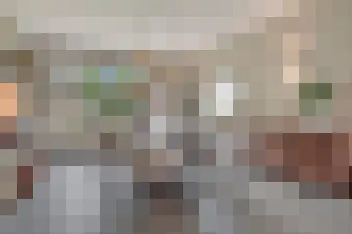 Maassingel 57 's-Hertogenbosch thumbnail 8