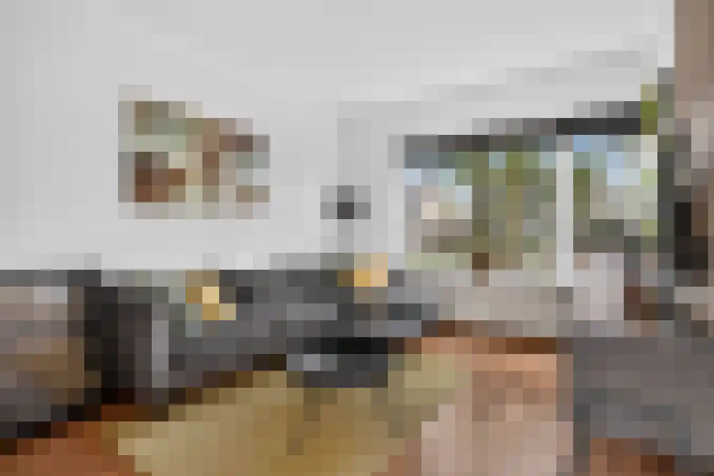 Maassingel 58 Deurne thumbnail 10