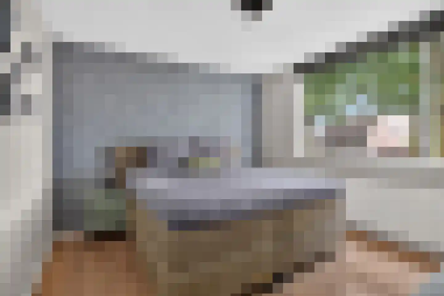 Maassingel 58 Deurne thumbnail 16