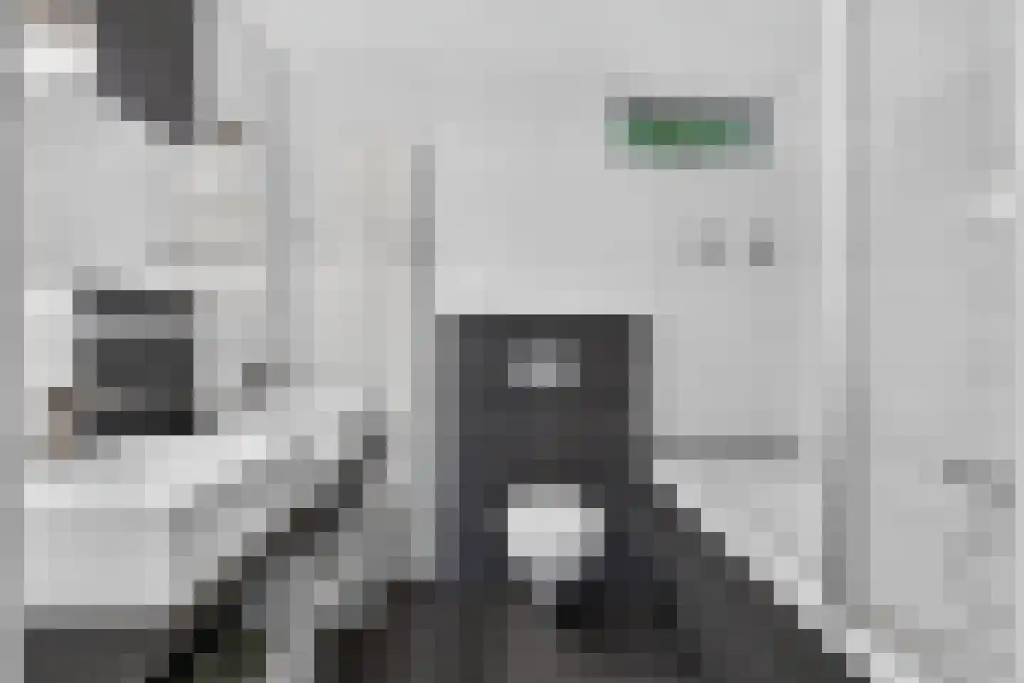 Maassingel 58 Deurne thumbnail 4