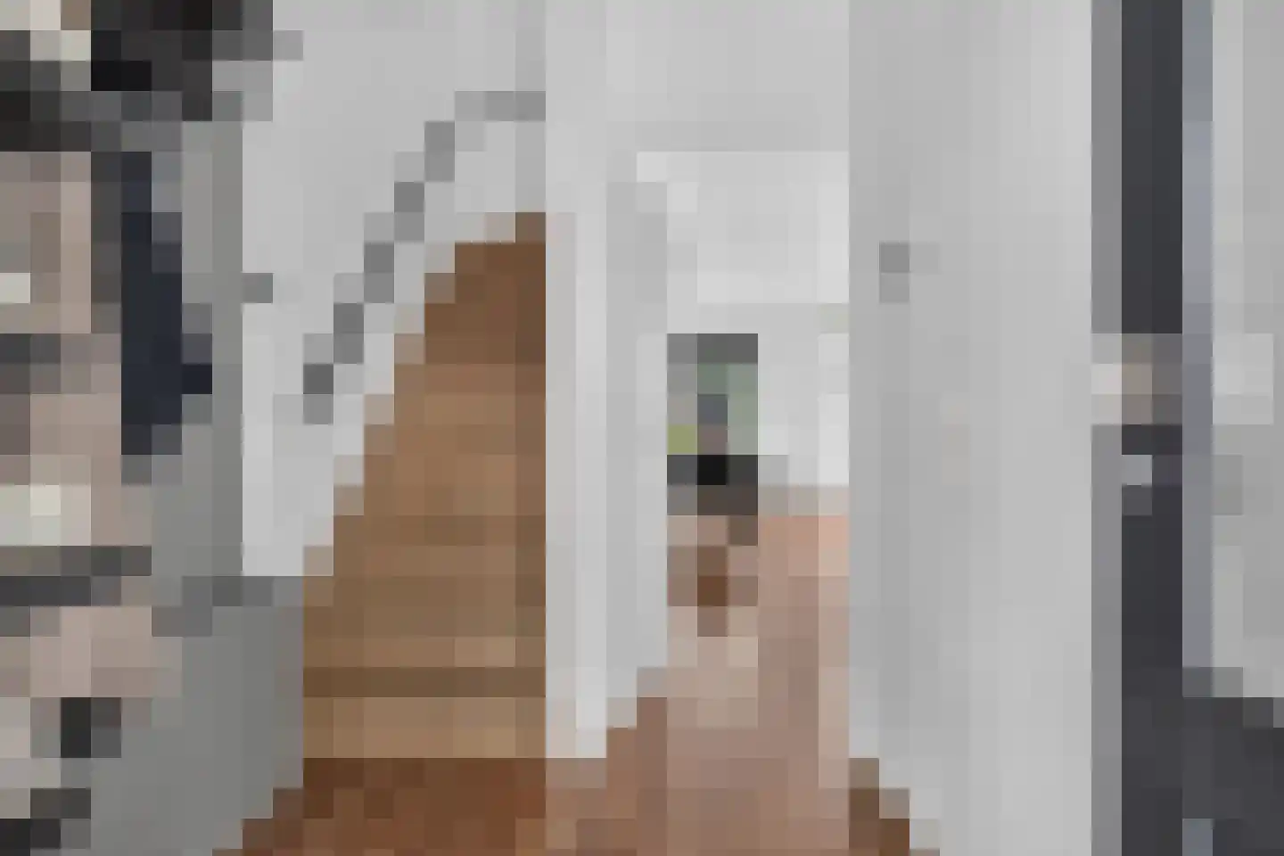 Maassingel 58 Deurne thumbnail 6