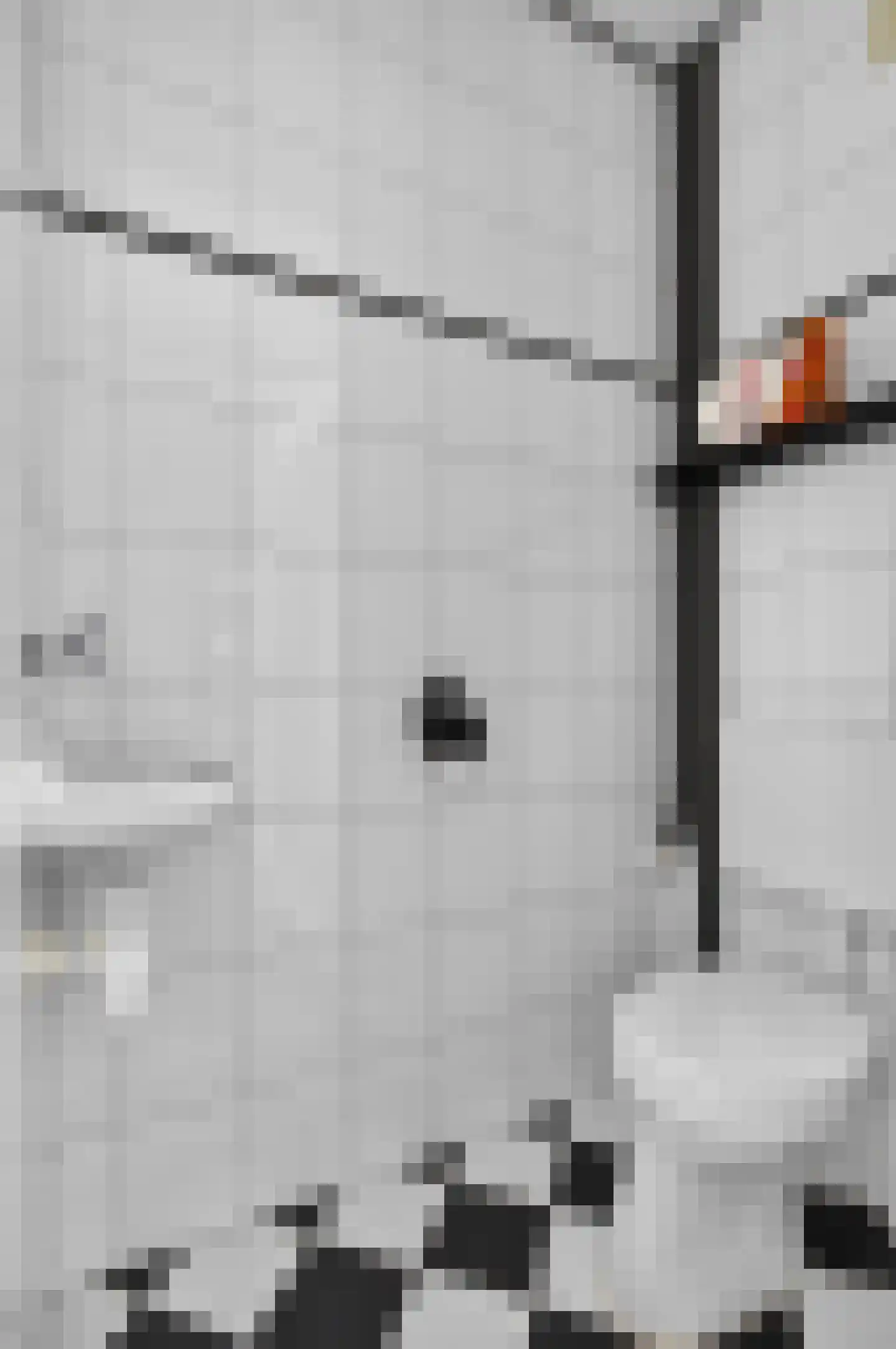 Maassingel 58 Deurne thumbnail 8