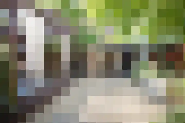 Maassingel 61 's-Hertogenbosch thumbnail 18