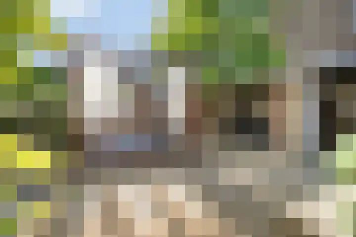 Maassingel 61 's-Hertogenbosch thumbnail 22