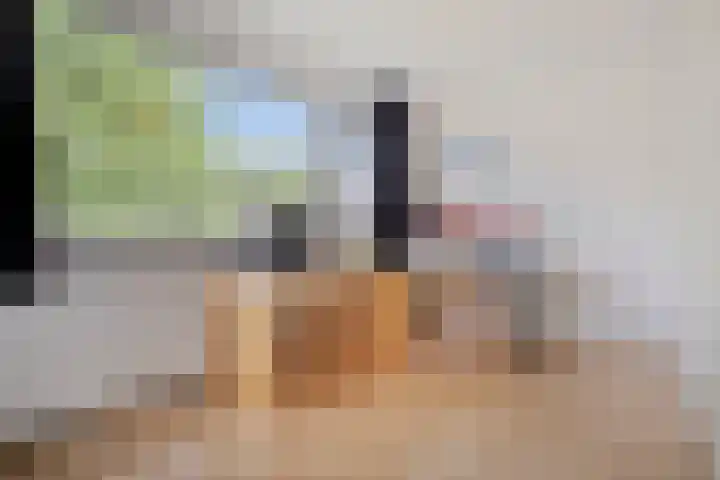 Maassingel 61 's-Hertogenbosch thumbnail 31