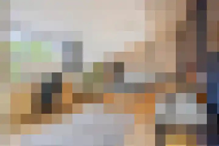 Maassingel 61 's-Hertogenbosch thumbnail 37