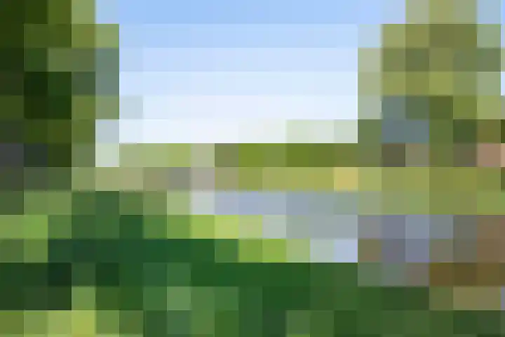 Maassingel 61 's-Hertogenbosch thumbnail 56