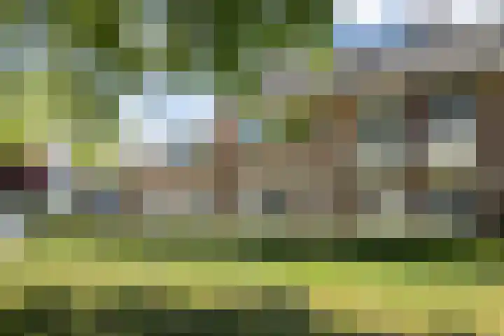 Maassingel 61 's-Hertogenbosch thumbnail 57