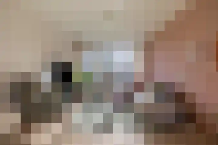 Maassingel 68 's-Hertogenbosch thumbnail 11