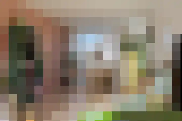 Maassingel 68 's-Hertogenbosch thumbnail 14