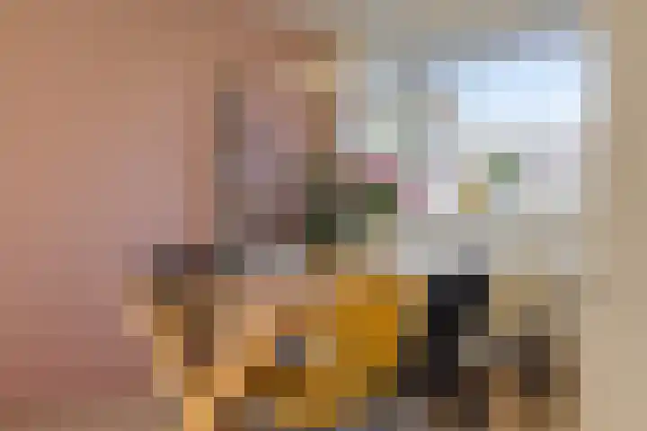Maassingel 68 's-Hertogenbosch thumbnail 15