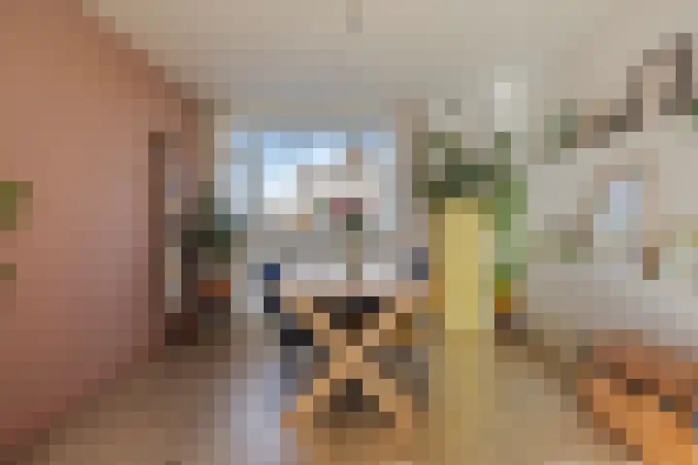 Maassingel 68 's-Hertogenbosch thumbnail 16